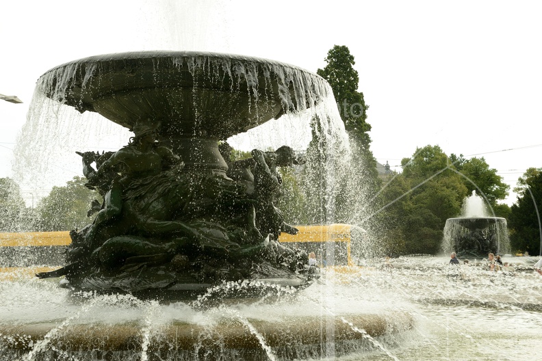 DSC 5490