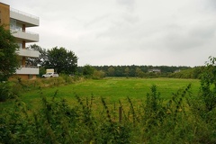 DSC 0210