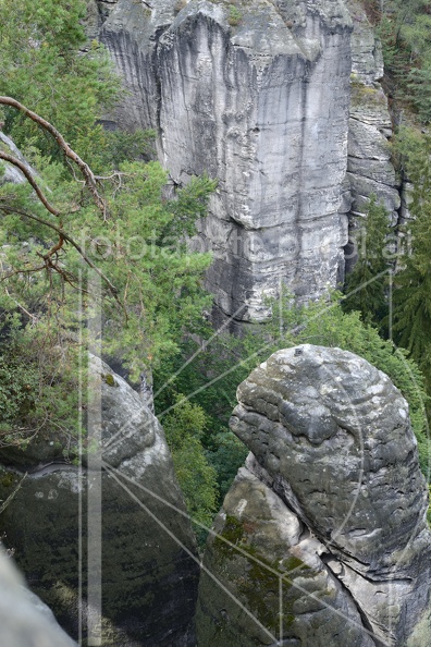 MSK_0884.jpg