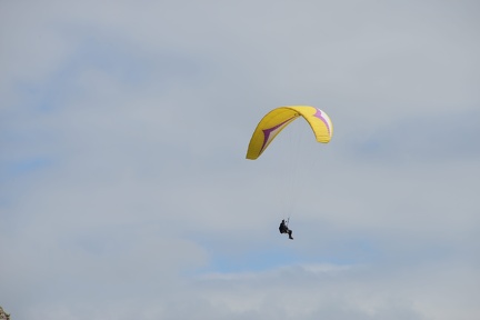 MSK 1475