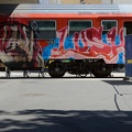 MSK 5594