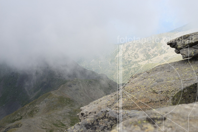 MSK_0790.jpg