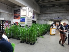 IMG 20190907 145556