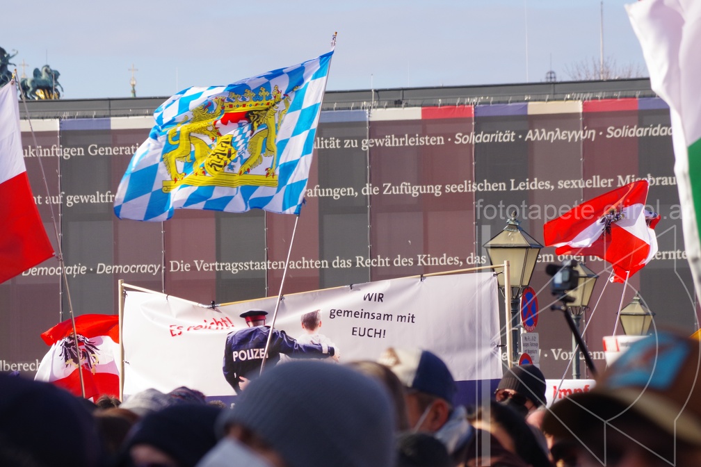 IMGP5993