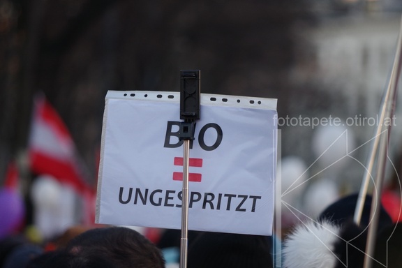 IMGP6382