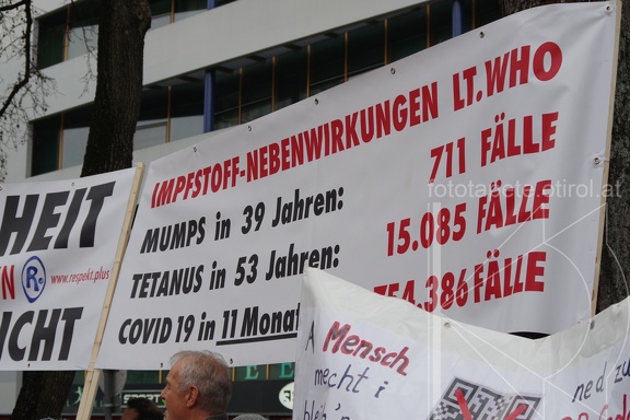 IMGP6930