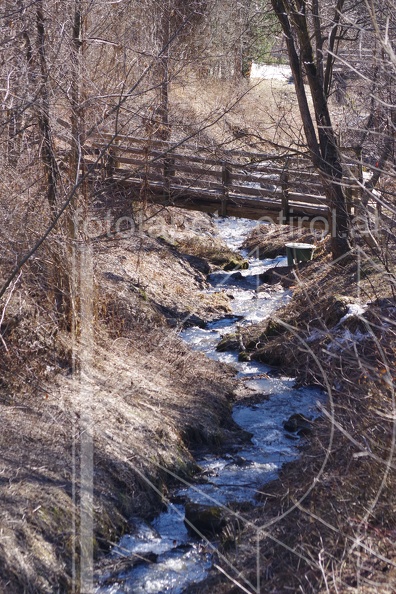 IMGP7550.JPG