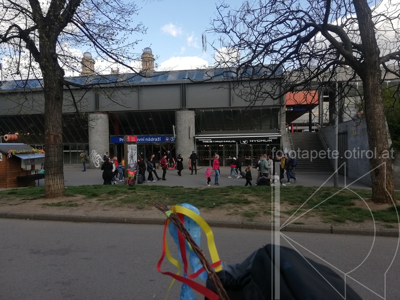 IMG_20220418_172405.jpg