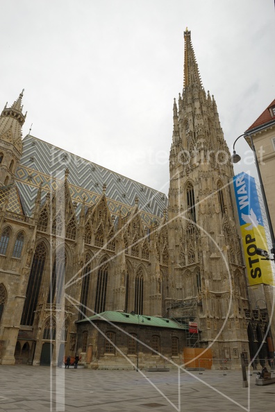 MSN_8050.jpg