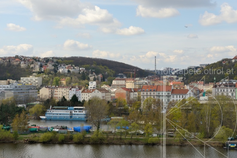 MSN_8536.jpg