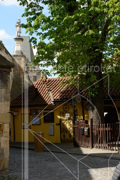 MSN 8562