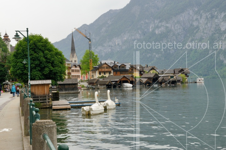 MSN_8664.jpg