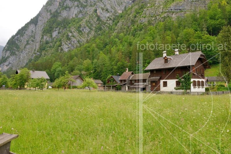 MSN 8694