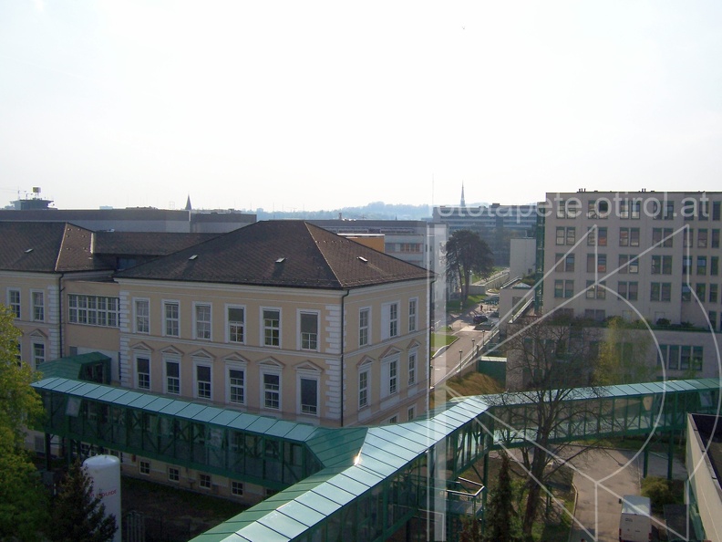 Bild 175.jpg