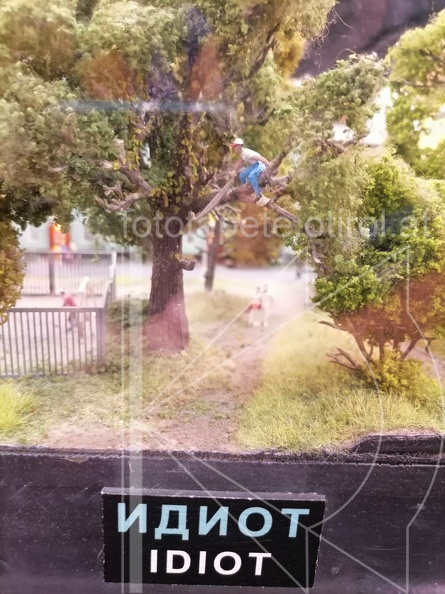IMG 20230712 141407