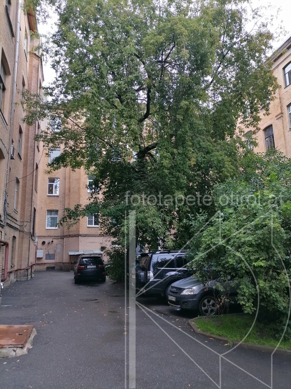 IMG 20230717 103443