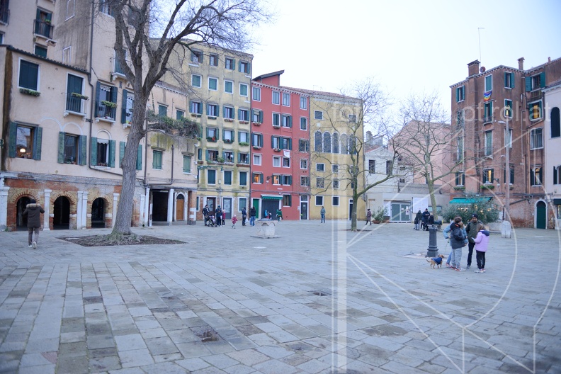MSR_3927.jpg