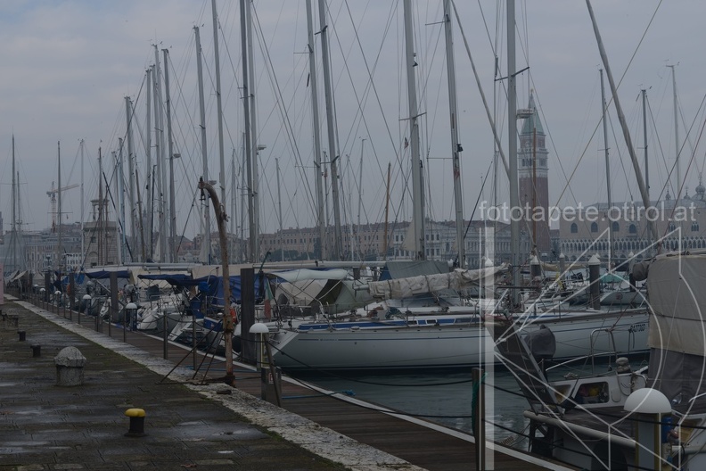 MSR_3998.jpg
