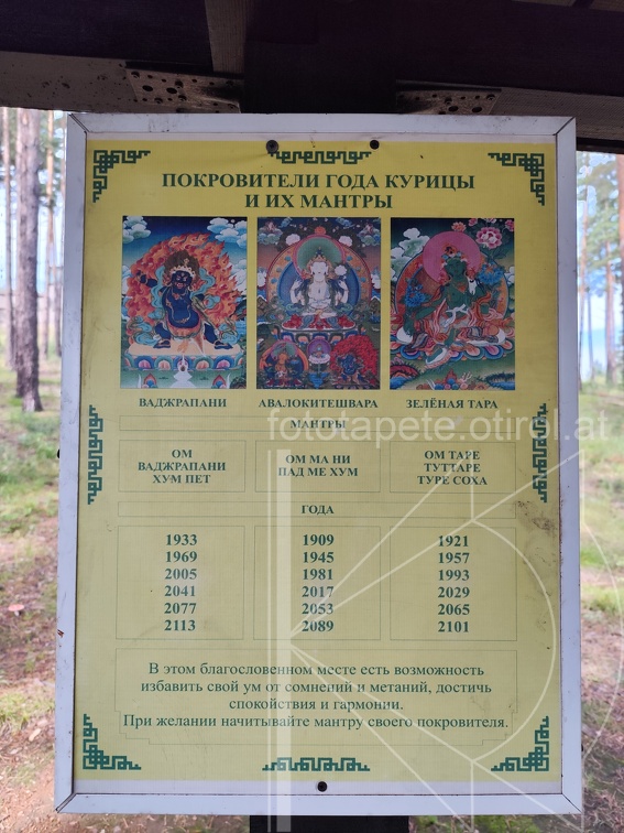 IMG 20240816 103507