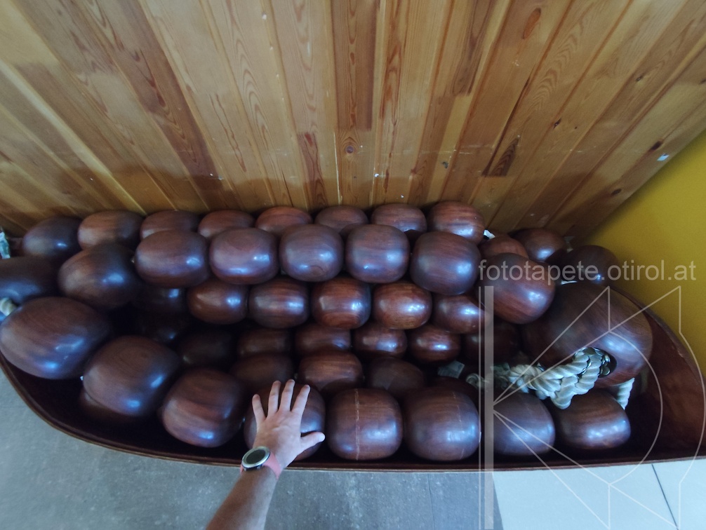 IMG 20240816 111329