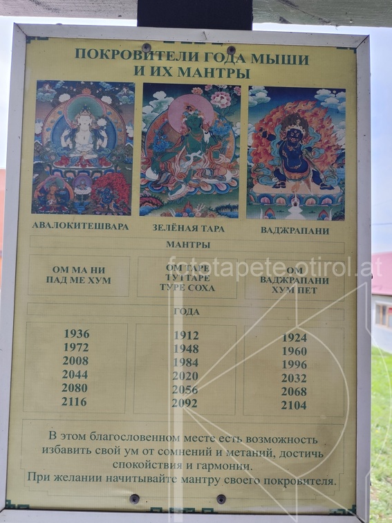 IMG 20240816 111750