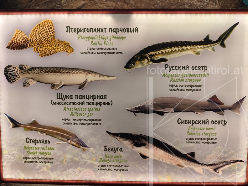 IMG 20240805 190750