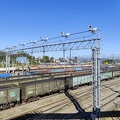 IMG_20240818_090929.jpg