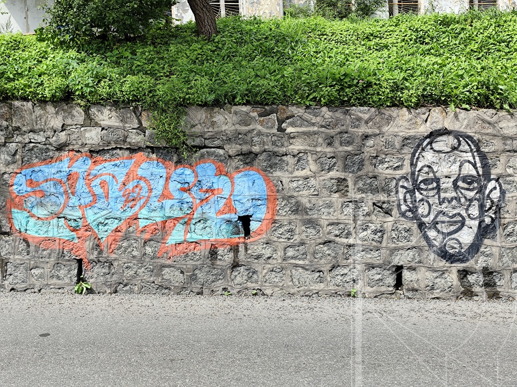 IMG 20240822 131908