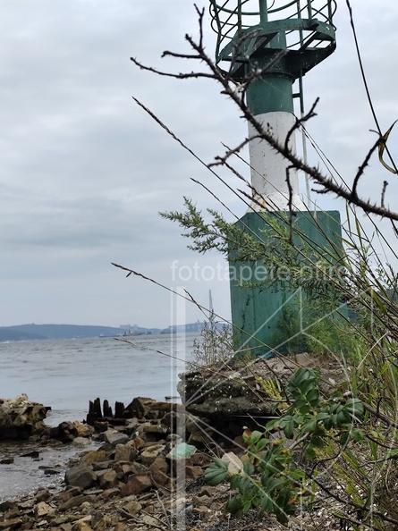 IMG 20240825 122916