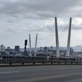 IMG_20240825_170552.jpg